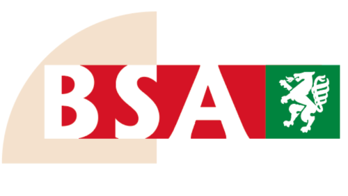 BSA Neu